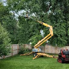 Lawn Watering Services in Necedah, WI