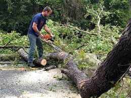 Best Aeration Services  in Necedah, WI