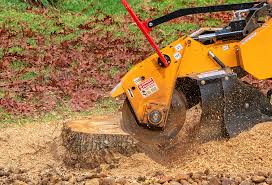Best Lawn Irrigation Installation and Maintenance  in Necedah, WI