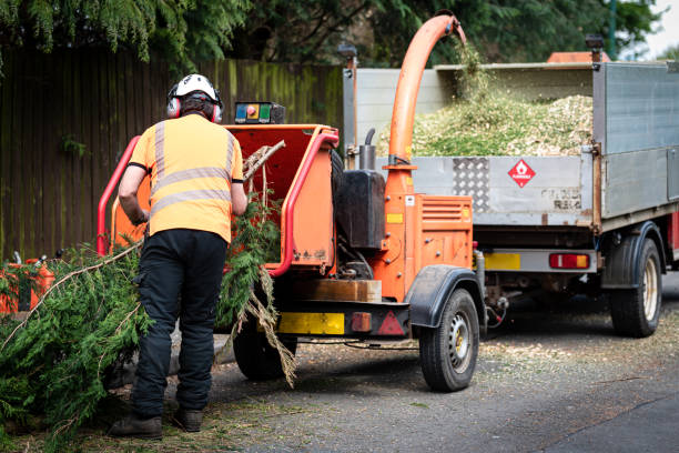 Best Organic Lawn Care Solutions  in Necedah, WI