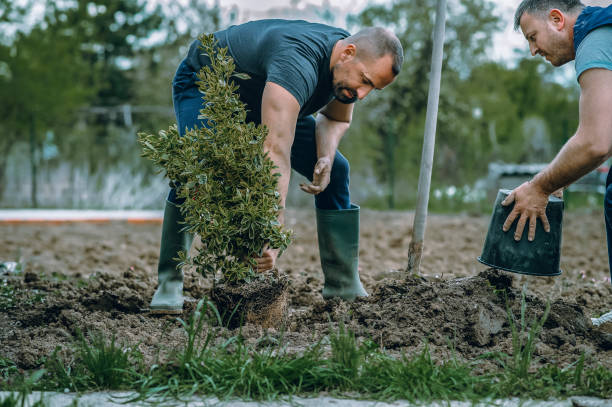 Best Lawn Pest Prevention  in Necedah, WI
