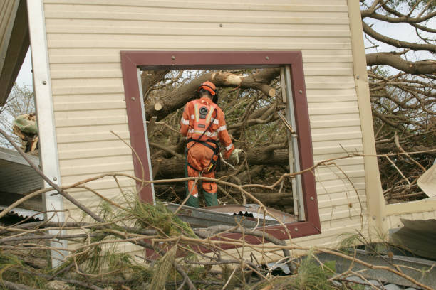 Best Commercial Tree Services  in Necedah, WI