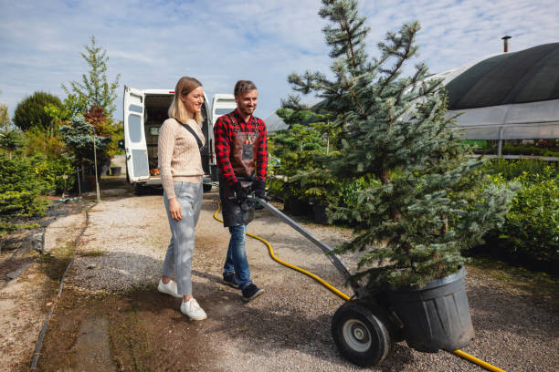 Best Hedge Trimming  in Necedah, WI