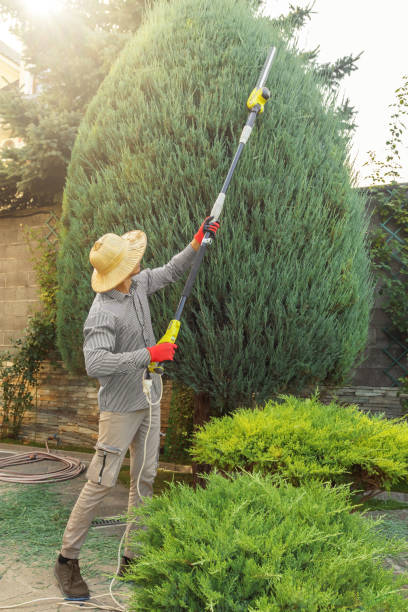 Best Tree and Shrub Care  in Necedah, WI