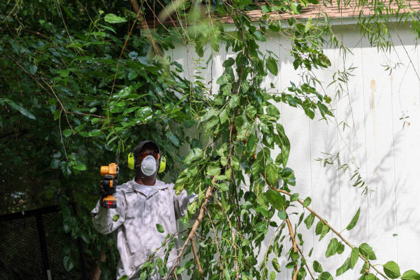 Best Pest Control for Lawns  in Necedah, WI